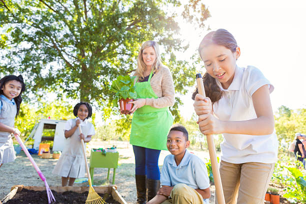 Hispanic little girl is digging in garden, planting vegetable plants with teacher and classmates during outdoor science class. Students are working in school garden. Children are wearing private school uniforms.