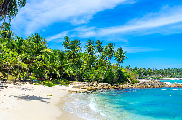 istock Tropical beach in Sri Lanka 498692728