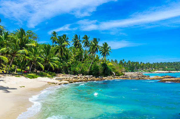 istock Tropical beach in Sri Lanka 498692856