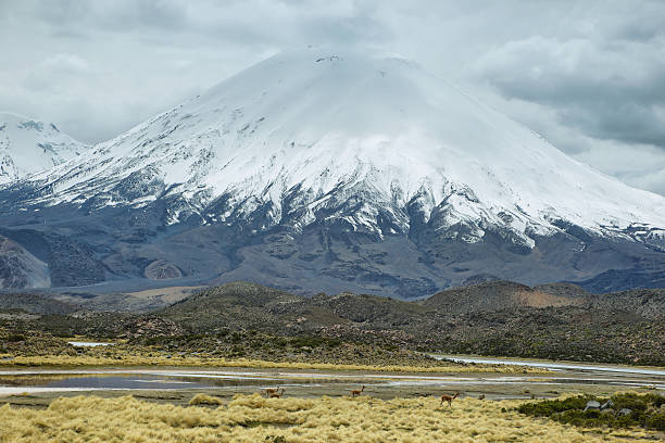 istock Snow capped Parinacota volcano 498693676