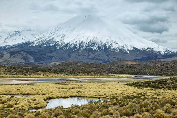 istock Snow capped Parinacota volcano 498693710