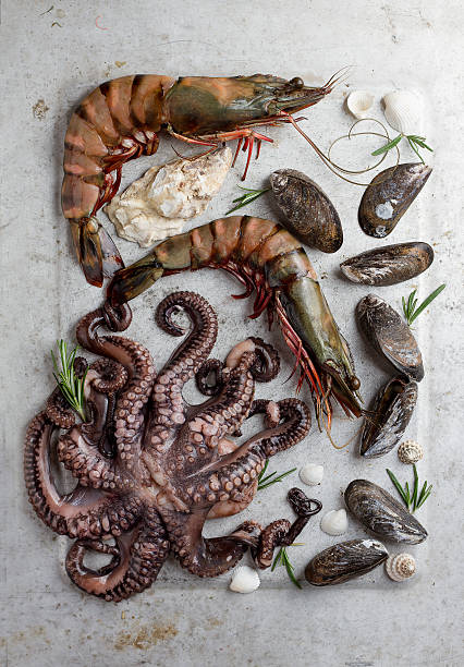 istock Food background with seafood 498693722