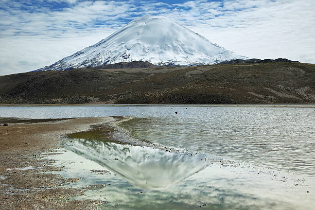 istock Snow capped high mountains reflected in Lake Chungara 498694104