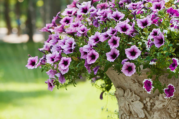 istock Flowers and stone vase in the park 498694652