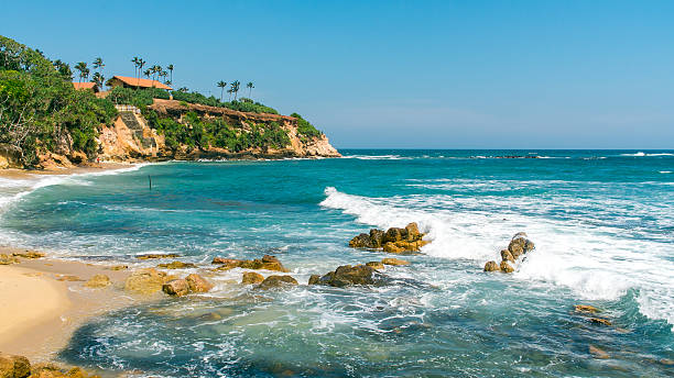 istock Tropical beach in Sri Lanka 498694966