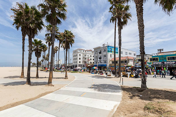 венецианский пляж велосипед путь - palm tree california city of los angeles venice beach стоковые фото и изображения