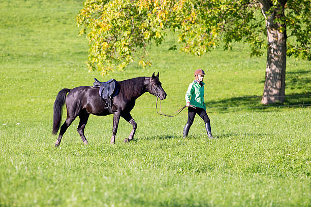 istock Woman walking with horse 498702211