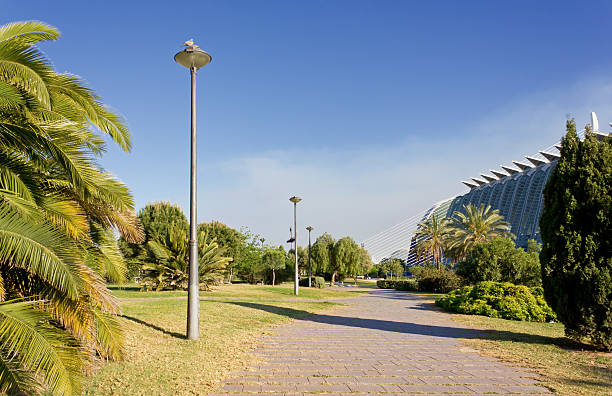 istock City Park in Valencia 498702957