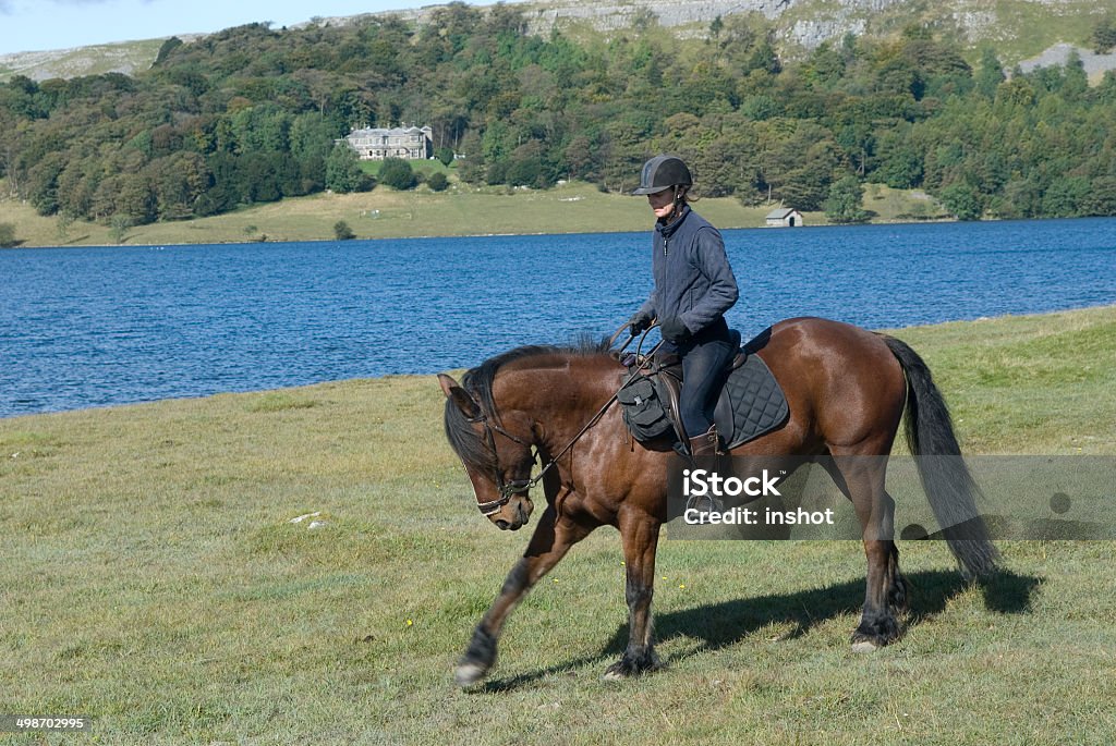 Cavalo e rider pronto para fora! - Royalty-free Alegria Foto de stock