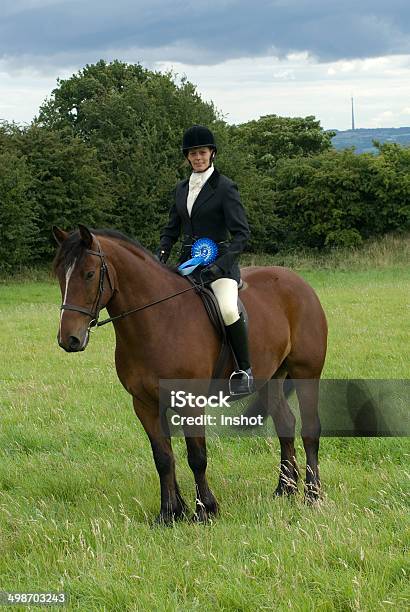Foto de Cavalo E O Cavaleiro Pose Com Rosette e mais fotos de stock de Animal - Animal, Animal doméstico, Aprimoramento