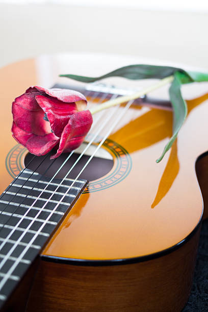 istock Red Flower on Acoustic Guitar 498704011