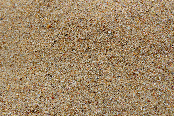 istock abstract background of beige sand texture 498704907