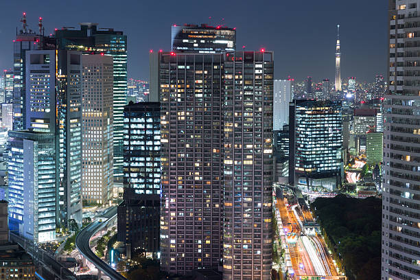 istock Tokyo Skyline in Japan 498705593