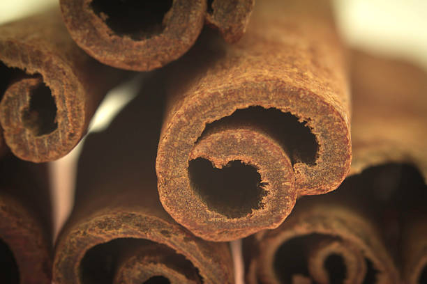 istock Close up of cinnamon sticks 498706105