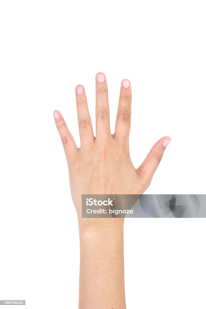 Femme main gauche montre cinq doigts isolés. - Photo de Gaucher libre de droits