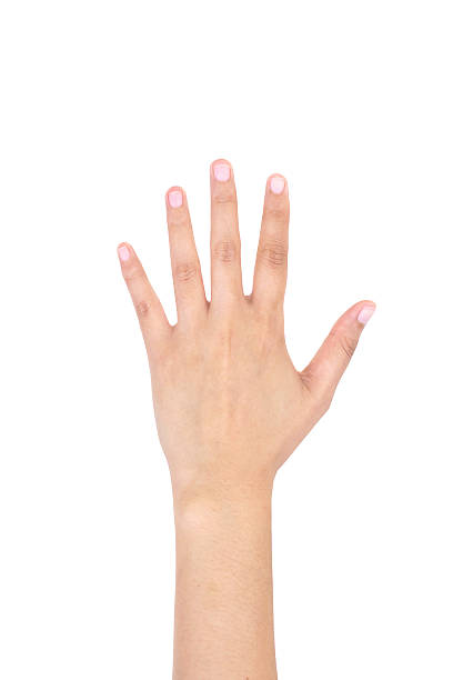 femme main gauche montre cinq doigts isolés. - left handed photos et images de collection