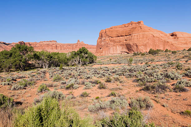 istock Arches National Park in Utah 498707917