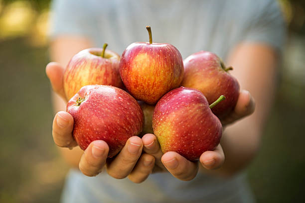 istock woman's hand holding a bunch of apples 498708088