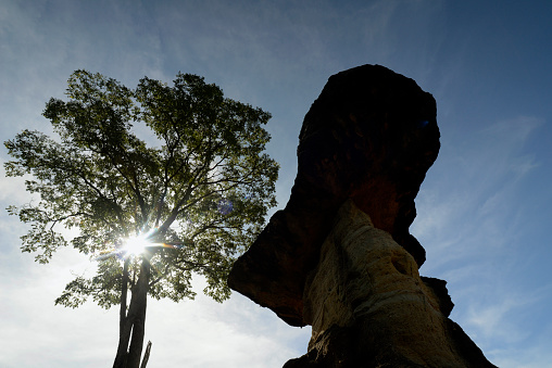 The landscape and mushroom-shaped rock formations in the Pha Taem National Park in the vicinity of Ubon Ratchathani in northeastern Thailand in South-East Asia.