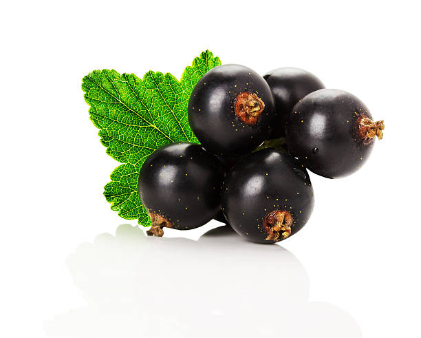 istock juicy ripe currant on the white background 498709615