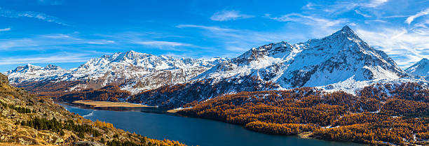 Panorama view of Sils lake and Engadin Alps in autumn Panoama view view of Sils lake and the swiss alps in Upper Engadine with golden trees  in autumn, Canton of Grisons, Switzerland. maloja region stock pictures, royalty-free photos & images