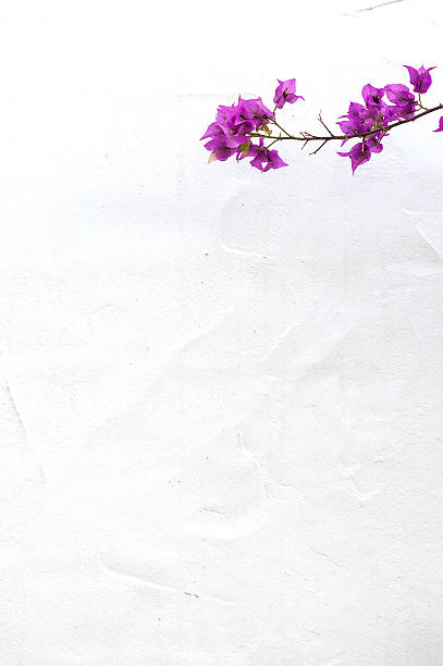 istock Branch with purple flowers 498711266