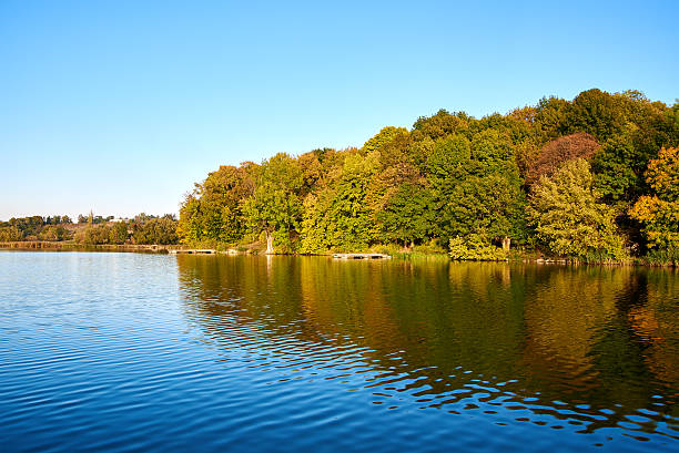 istock Trees reflection on the river or lake bank 498712770