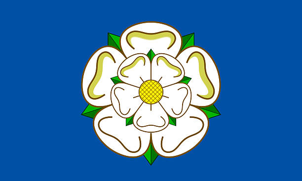 Flag of Yorkshire The White Rose flag of Yorkshire, England east riding of yorkshire photos stock pictures, royalty-free photos & images