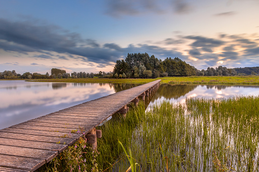Long wooden footbridge as a Future concept in nature reserve de Blauwe Kamer near Wageningen, Betuwe, Netherlands