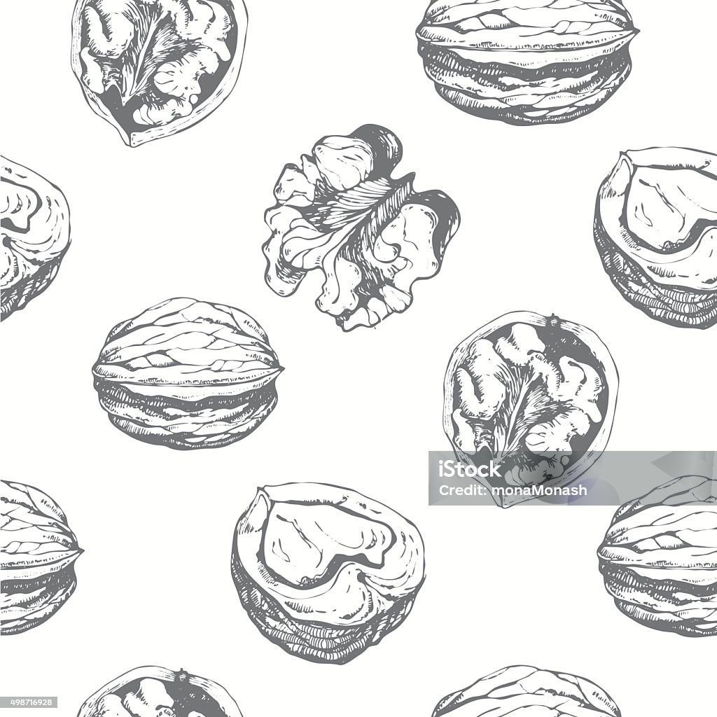 Hand-drawn sketch of walnuts. Seamless nature background. Fresh organic food. Walnuts background. Black and white nut pattern. Walnut stock vector