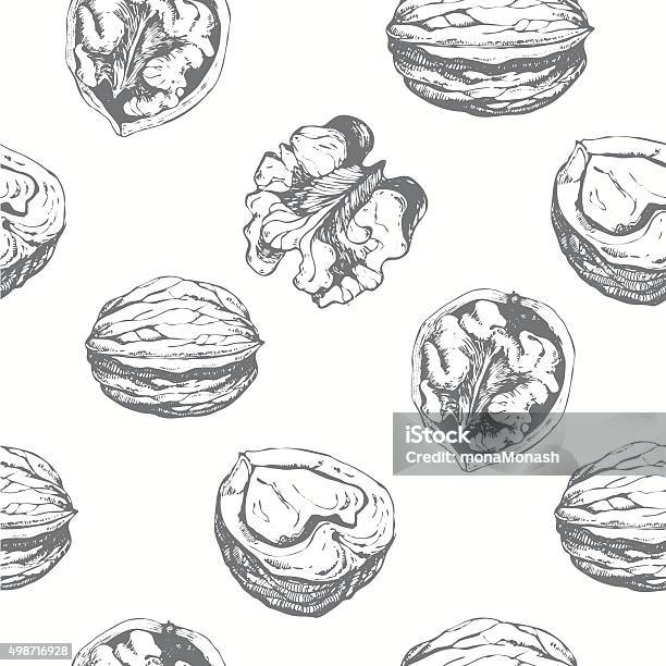 Handdrawn Sketch Of Walnuts Seamless Nature Background Stock Illustration - Download Image Now