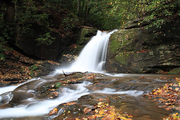 Photo of Falls Dodd Creek along Raven Cliff Falls Trail in Georgia