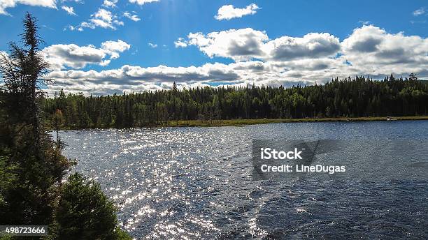 North Shore Lake Quebec Stock Photo - Download Image Now - 2015, Animal, Animals In The Wild