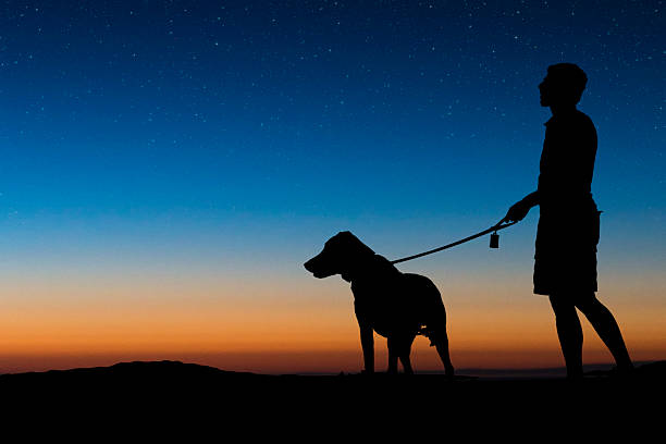 Homem caminhando cachorro em uma noite clara - foto de acervo