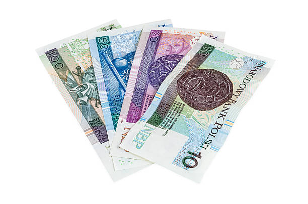 istock Set of new polish banknotes 498728997