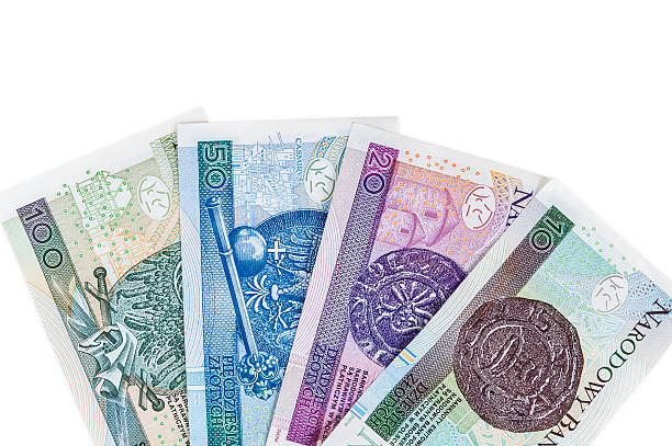 istock Set of new polish banknotes 498729001