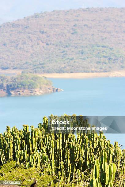 Phobane 湖のクワズールナタール南アフリカ - なだらかな起伏のある地形のストックフォトや画像を多数ご用意 - なだらかな起伏のある地形, アフリカ, アフリカ文化