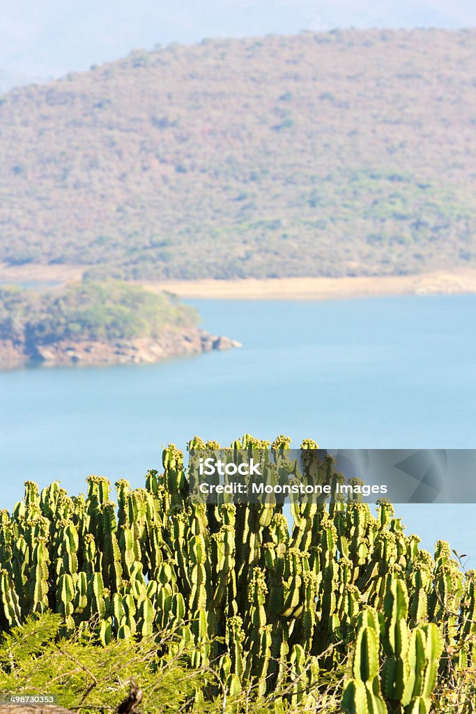 Phobane Озеро в провинции ЮАР Квазулу-Натал, Южная Африка - Стоковые фото Алоэ роялти-фри