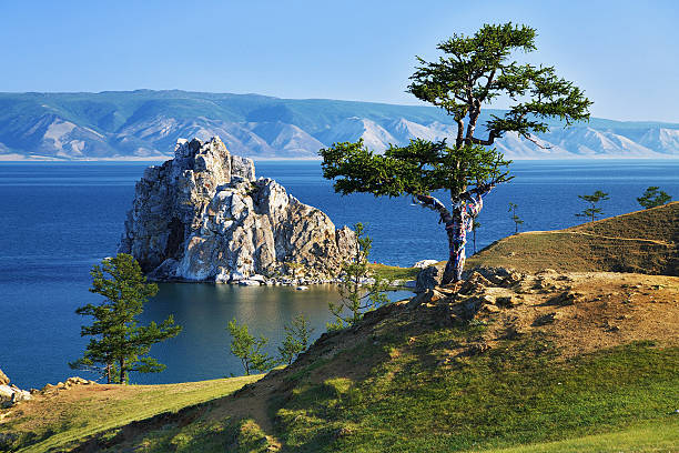 istock Tree of desires on Lake Baikal 498730685