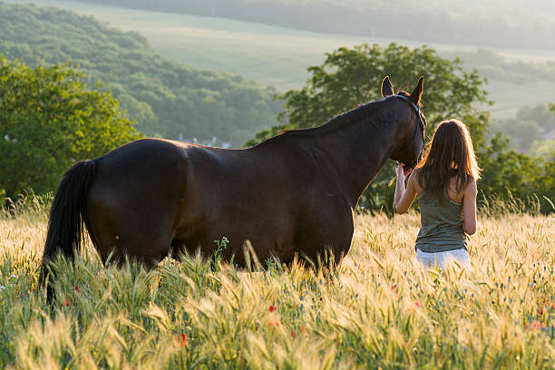 istock woman and horse training during sunset 498730965