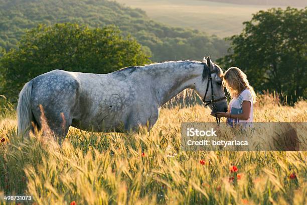 Beautiful Girl And Horse Outdoors Stock Photo - Download Image Now - Horse, Women, Adult