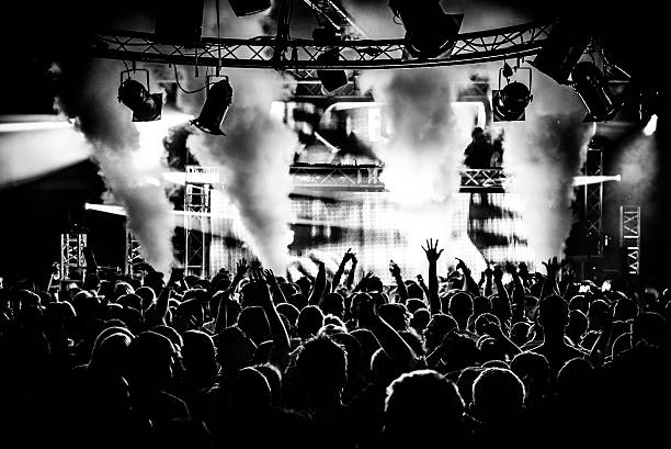 Black and white DJ and crowd in nightclub Black and white DJ crowd in nightclub party with ice canon and smoke machine concert stock pictures, royalty-free photos & images