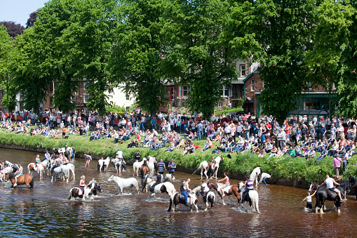 Appleby-in-Westmoreland, England - June 06, 2014: Spectators gathered on the banks of the river Eden to watch the horses being washed prior to trading during the Appleby Horse Fair, an annual gathering of Gypsies and Travellers which takes place in the first week of June.  Appleby Horse Fair is unique in Europe, attracting around 10,000 Gypsies and Travellers and up to 30,000 visitors.