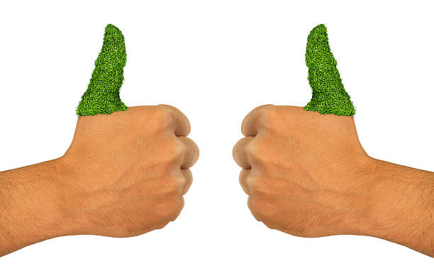 Green Grass  Thumb Up Go Green thumbs up Hand Green Grass  Thumb Up Go Green thumbs up Hand green fingers stock pictures, royalty-free photos & images