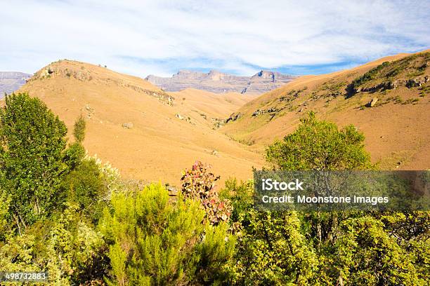 Foto de Giants Castle Em Kwazulunatal África Do Sul e mais fotos de stock de Afloramento - Afloramento, Arbusto, Beleza natural - Natureza