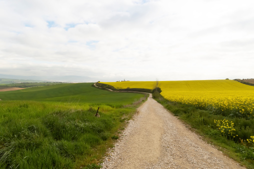 panoramic view with Road to Santiago de Compostela, Navarre, Spain