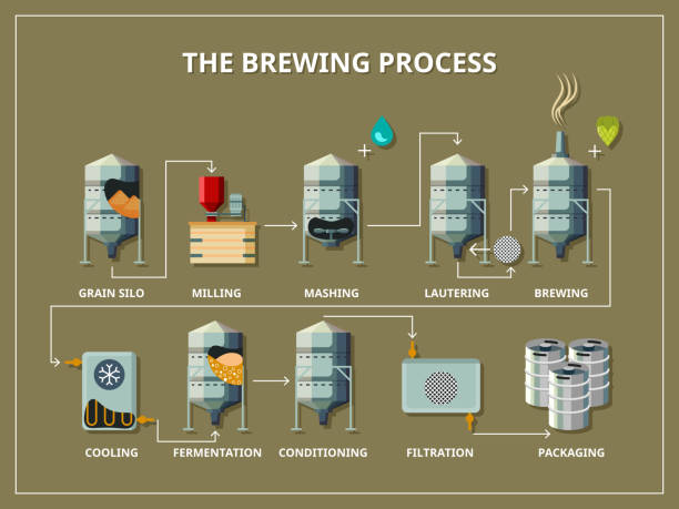 Brewery process infographic in flat style Brewery process infographic flat style. Production beer, alcohol and grain, silo and milling, mashing and lautering, vector illustration brewery stock illustrations