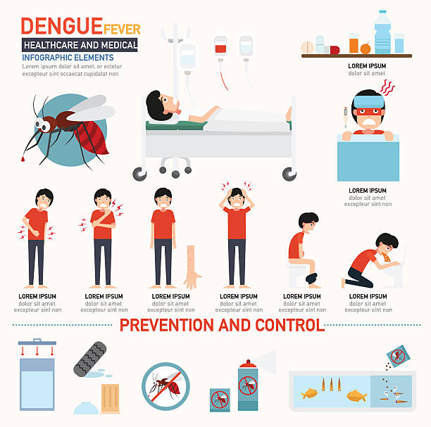 illustrazioni stock, clip art, cartoni animati e icone di tendenza di dengue febbre infografiche - flebo salina