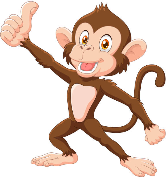 Cute Monkey Giving Thumb Up Isolated On White Background Stock Illustration  - Download Image Now - iStock