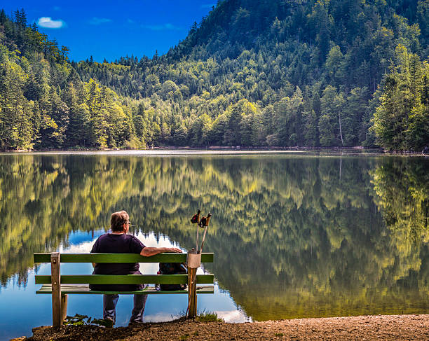 Person, auf einer Bank sitzend, mit Blick auf den See – Foto